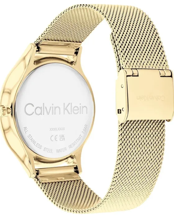 Calvin Klein Timeless 25200003, όψη 3