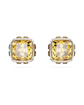 Σκουλαρίκια Swarovski Birthstone 5660802