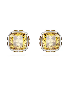 Σκουλαρίκια Swarovski Birthstone 5660802