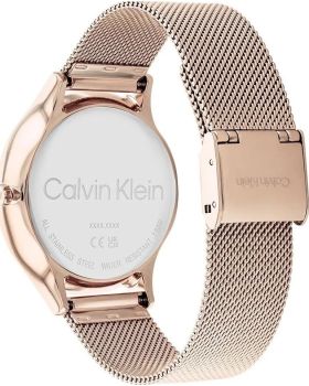 Calvin Klein Timeless 25200102 - 