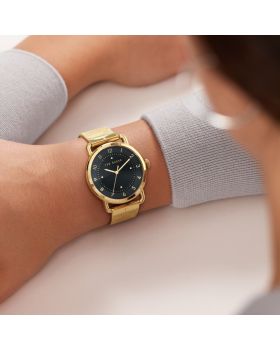 Ted Baker Harriet BKPHRS202 - 