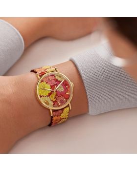 Ted Baker Phylipa Retro BKPPHS234 - 