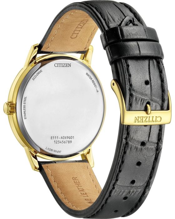 Citizen Eco-Drive BM6756-01A - 