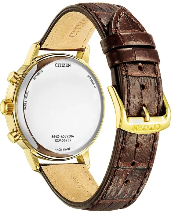 Citizen Eco-Drive Chronograph CA7062-15A - 