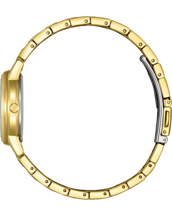 Citizen Eco-Drive FE1242-78D - 