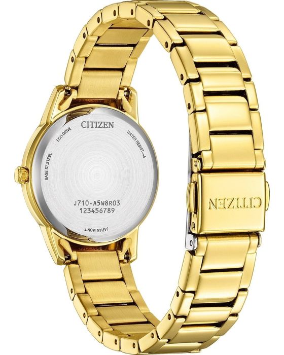 Citizen Eco-Drive FE1242-78D - 