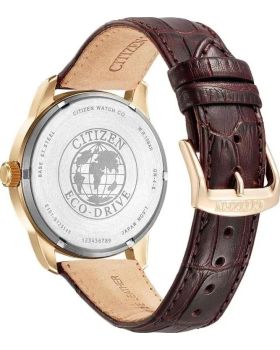 Citizen Classic Eco-Drive BM8553-16AE - 