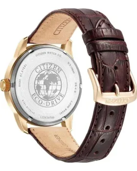 Citizen Classic Eco-Drive BM8553-16AE - 