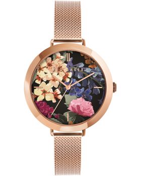 Ted Baker Ammy Floral BKPAMF104