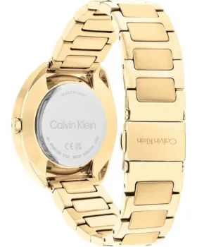 Calvin Klein Adorn 25200276 - 