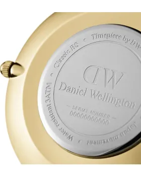 Daniel Wellington Petite Evergold DW00100348 - 