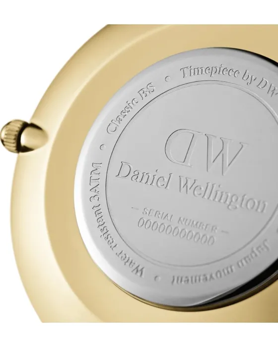 Daniel Wellington Petite Evergold DW00100348 - 