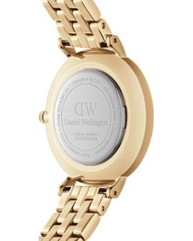 Daniel Wellington Petite Evergold DW00100614 - 