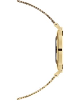 Daniel Wellington Petite Evergold DW00100347 - 