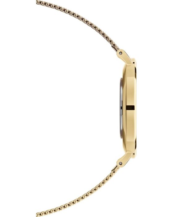 Daniel Wellington Petite Evergold DW00100347 - 