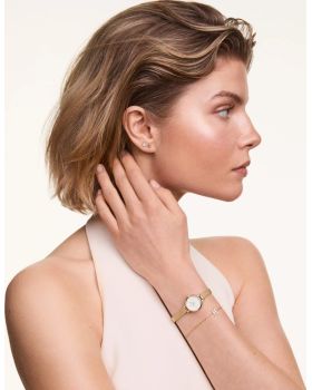 Daniel Wellington Petite Mini Evergold DW00100745 - 