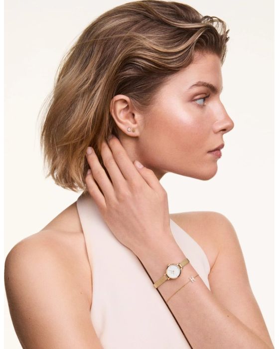 Daniel Wellington Petite Mini Evergold DW00100745 - 