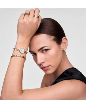 Daniel Wellington Mini Arch 3-link DW00100855 - 