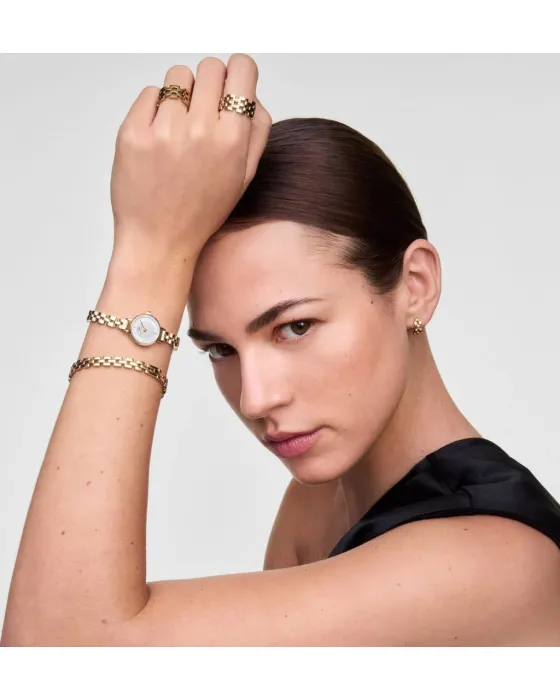 Daniel Wellington Mini Arch 3-link DW00100855 - 