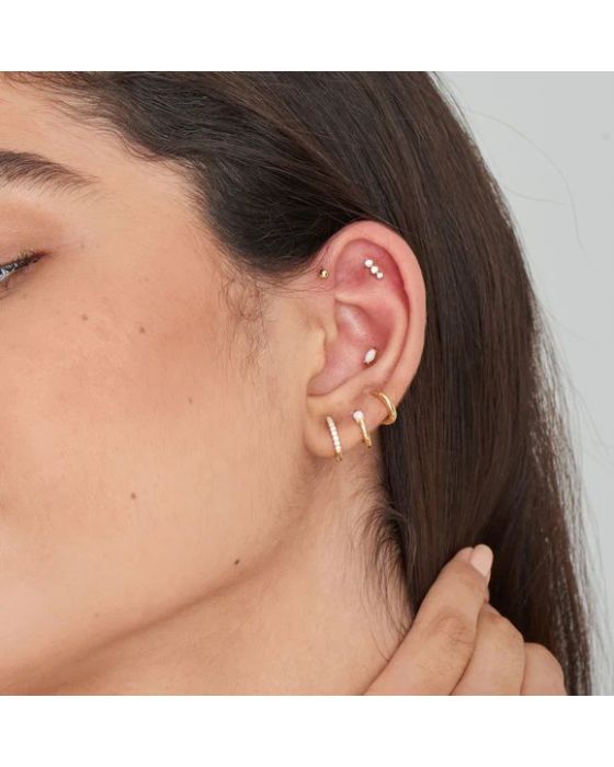 Σκουλαρίκια Ania Haie E035-17G - 