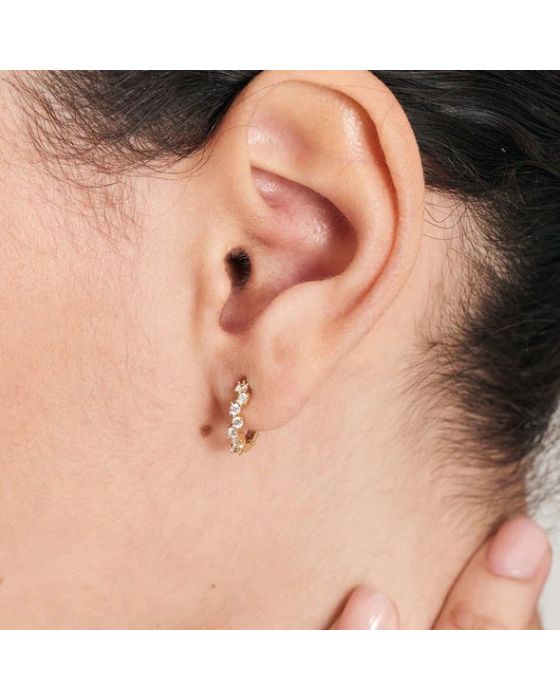 Σκουλαρίκια Ania Haie E047-09G - 