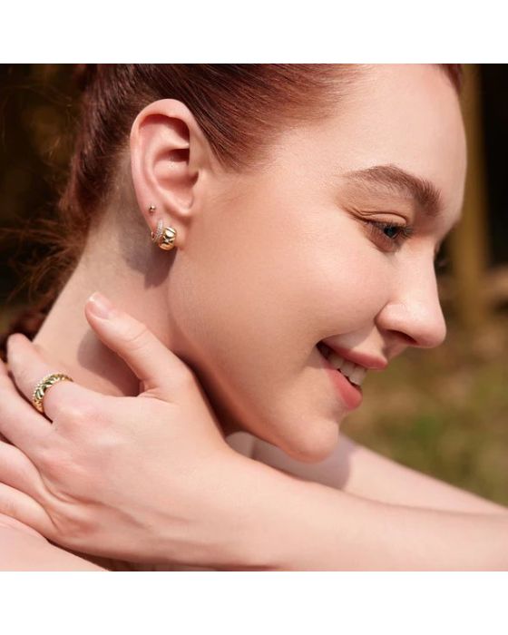 Σκουλαρίκια Ania Haie E057-05G - 