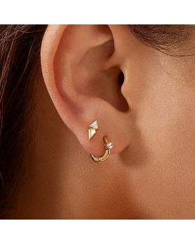 Σκουλαρίκια Ania Haie E059-04G - 