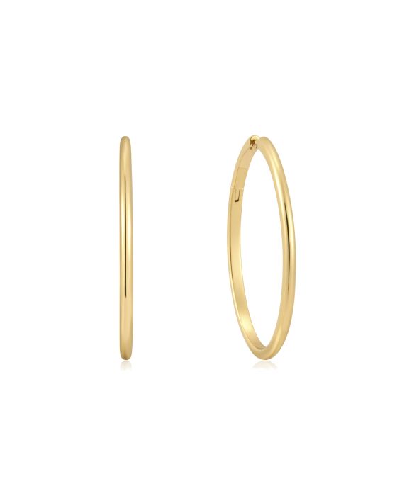 Σκουλαρίκια Ania Haie E059-21G