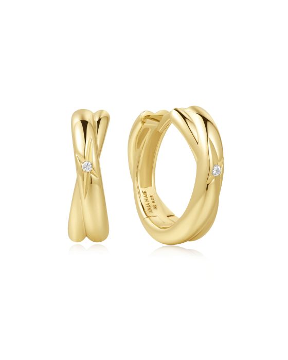 Σκουλαρίκια Ania Haie E061-16G