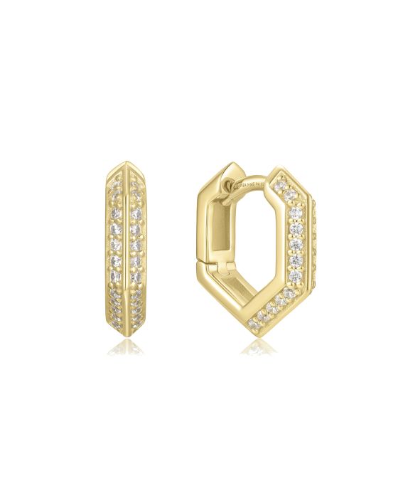 Σκουλαρίκια Ania Haie E067-06G