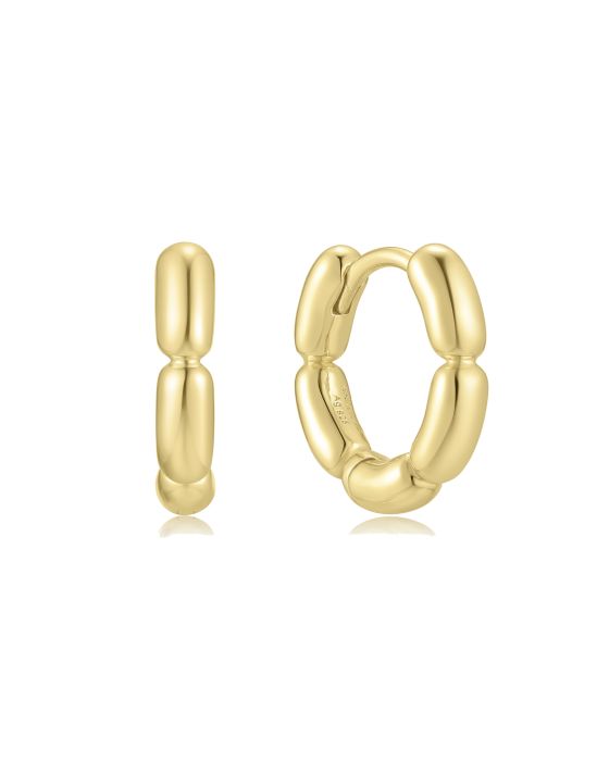 Σκουλαρίκια Ania Haie E069-02G