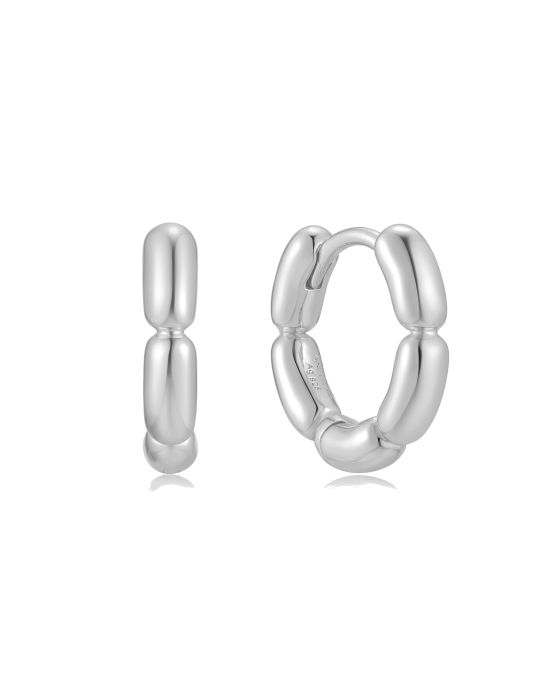 Σκουλαρίκια Ania Haie E069-02H