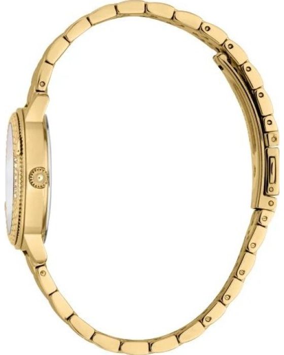 Just Cavalli Viperized Set JC1L276M0055 - 