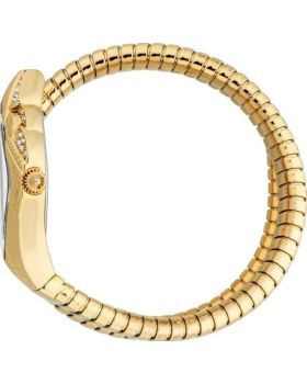 Just Cavalli Ferocious JC1L306M0035 - 