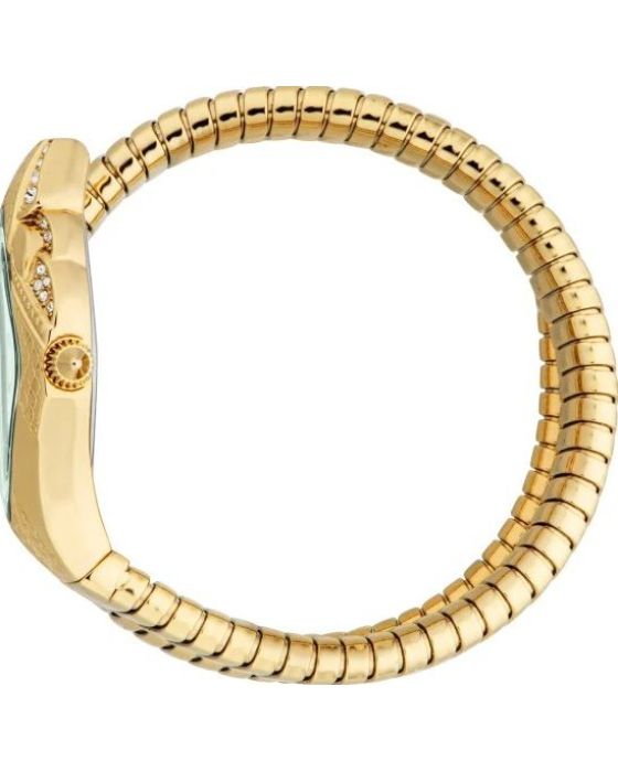 Just Cavalli Ferocious JC1L306M0045 - 