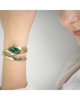 Just Cavalli Ferocious JC1L306M0045 - 