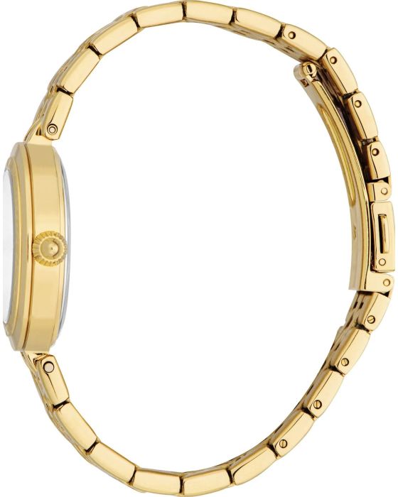  Just Cavalli Preziosa JC1L314M0055 - 