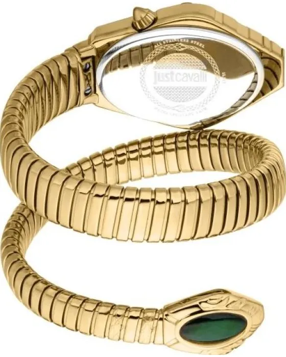 Just Cavalli Lirica JC1L357M0035, όψη 3