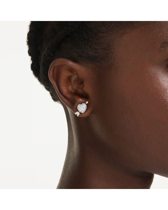 Σκουλαρίκια Swarovski Idyllia 5737298 - 