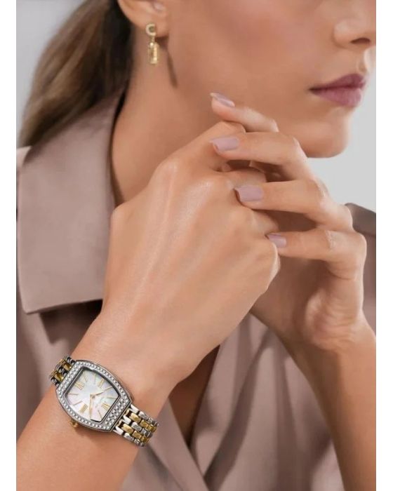 Cerruti Calliano CIWLG0052003 - 