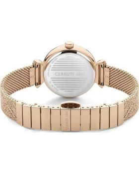 Cerruti Cerrisi CIWLG0008703 - 