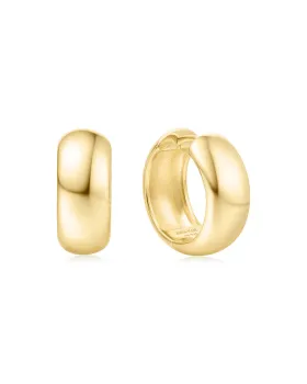 Σκουλαρίκια Ania Haie Chubby Medium Huggie Hoop E064-06G