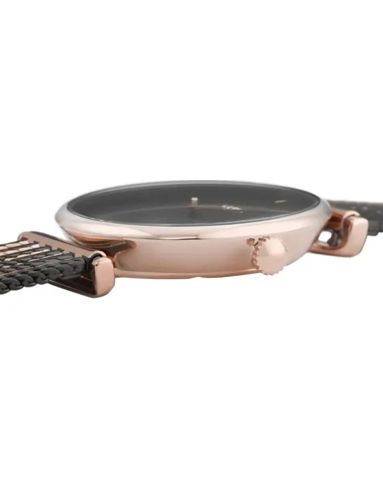 Cluse Triomphe Mesh CW0101208005, όψη 2