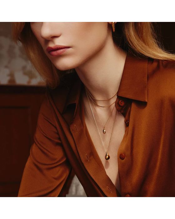 Κολιέ Ania Haie Tiger Eye Droplet Pendant Necklace N068-05G - 