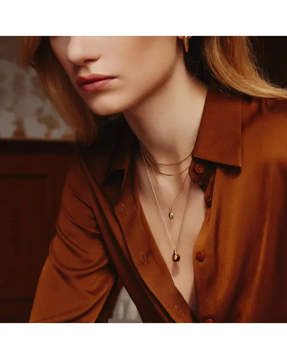Κολιέ Ania Haie Tiger Eye Droplet Pendant N068-05G, όψη 2
