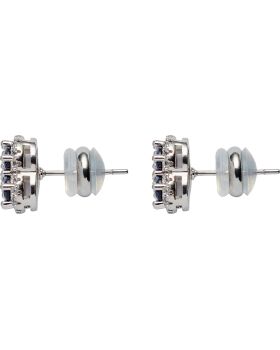 Σκουλαρίκια U.S. Polo Assn. JW5354EA - 