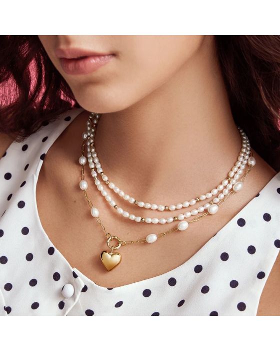 Σύμβολο Ania Haie Dome Heart Charm NC060-08G - 