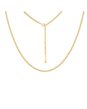 Κολιέ Ania Haie Classic Rolo Chain Necklace N062-04G