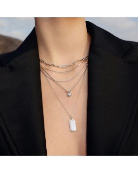 Κολιέ Ania Haie Sparkling Tag Necklace N067-02H - 