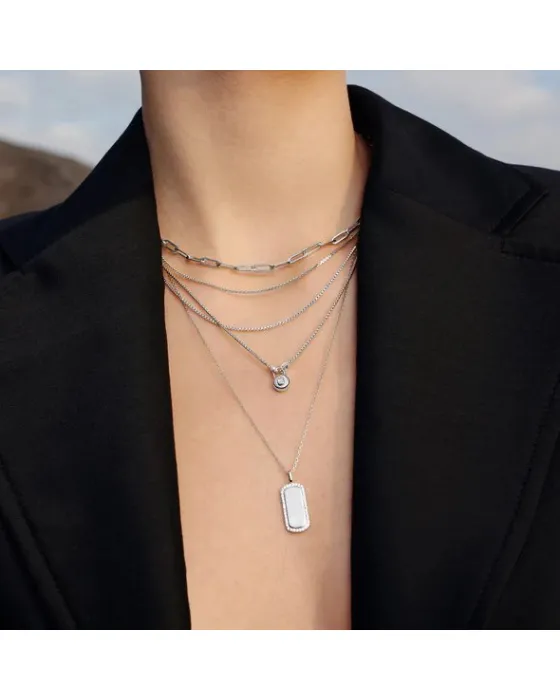 Κολιέ Ania Haie Sparkling Tag Necklace N067-02H - 